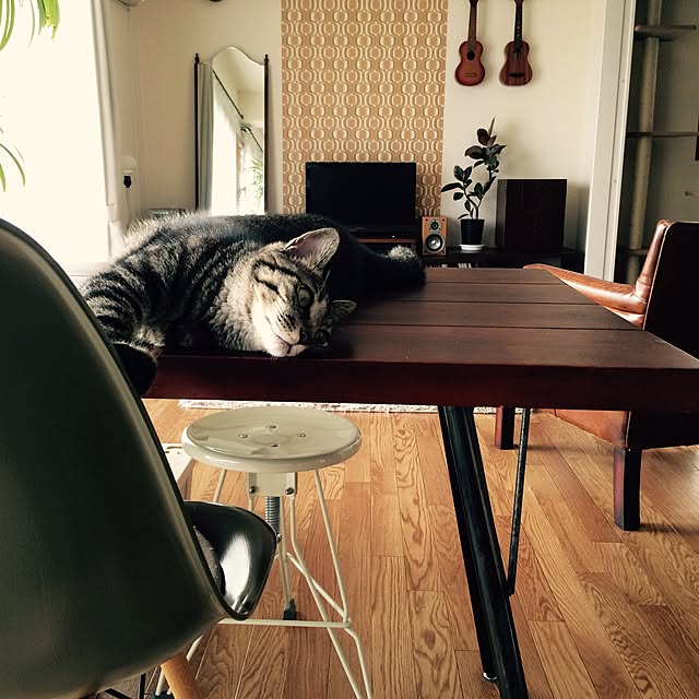 maruさんの実例写真