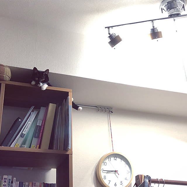 mameさんの実例写真