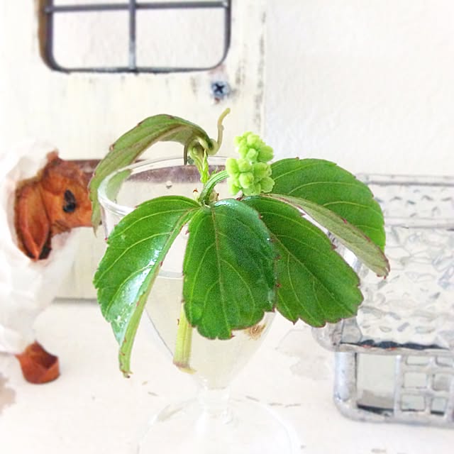 akika_naturalhomeさんの実例写真