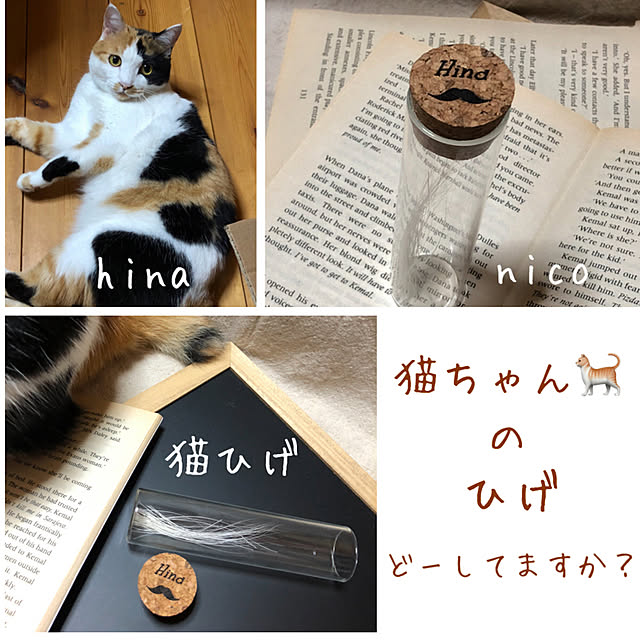 nicoさんの実例写真
