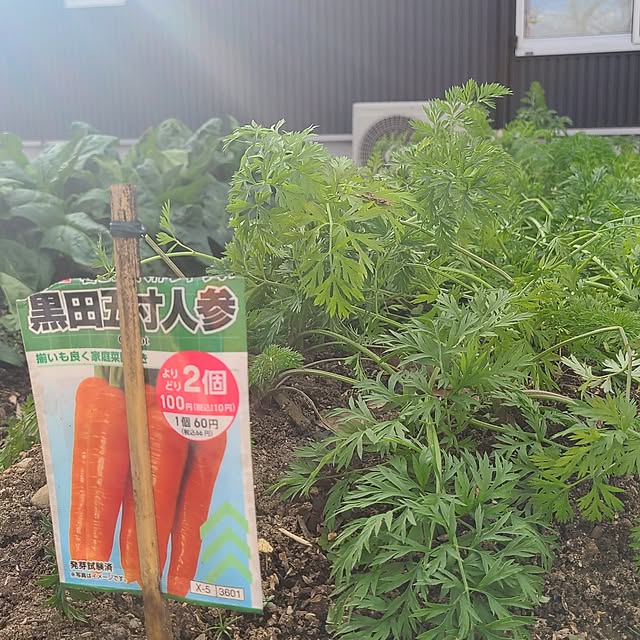 Rubiconさんの部屋