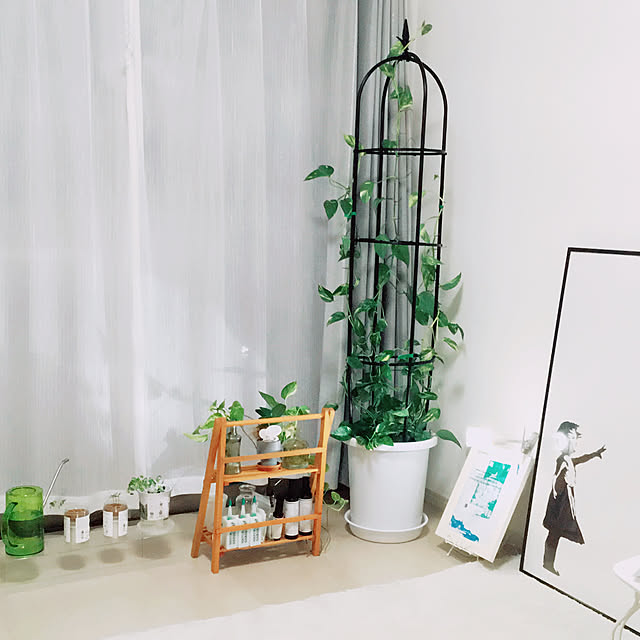 greennaさんの実例写真