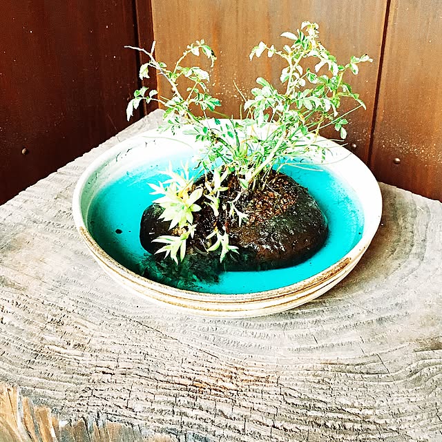 miyaken2019さんの部屋
