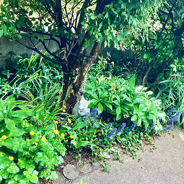 CoCo0617さんの実例写真