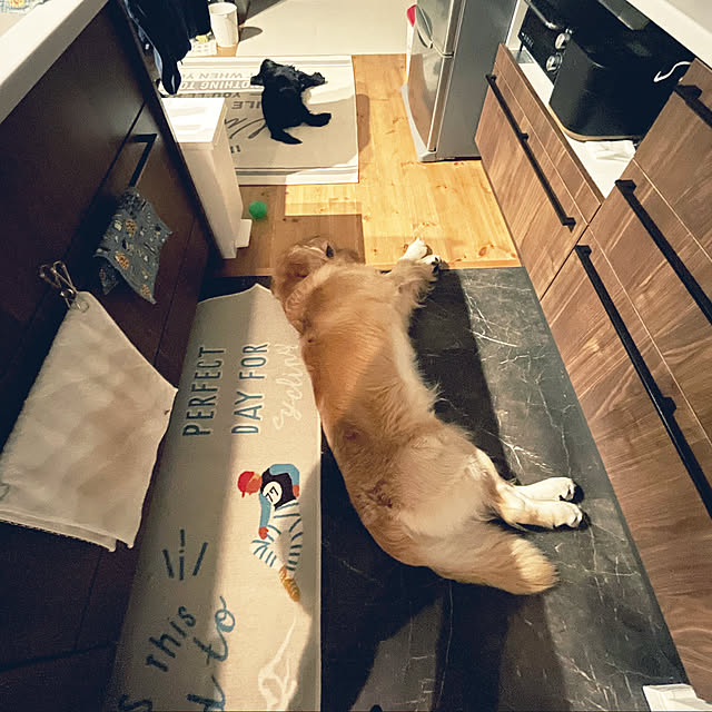 marinkoさんの実例写真