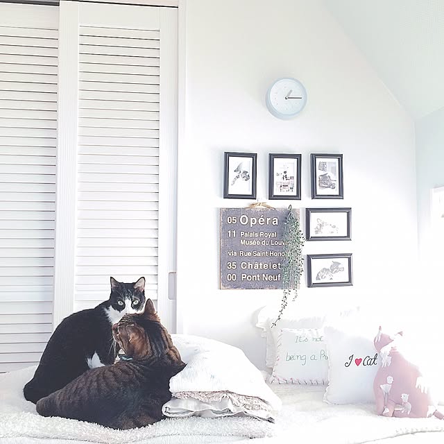 lovecatさんの実例写真