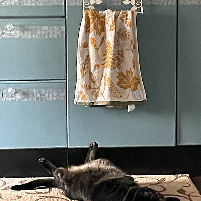 momocchiさんの実例写真