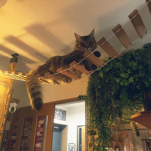 Mさんの実例写真