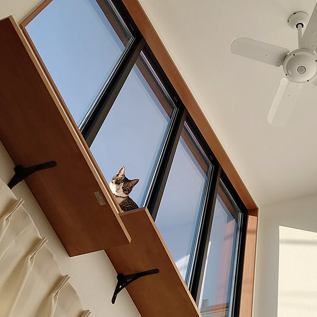 mochicoさんの実例写真