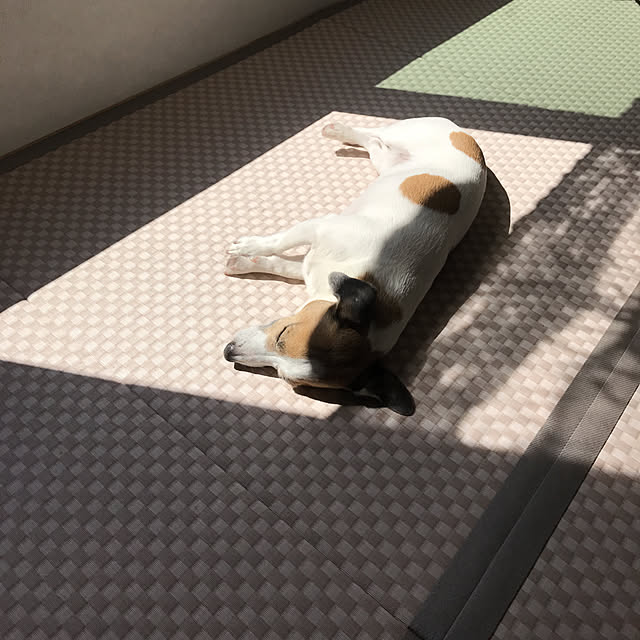 実例写真