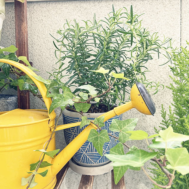 gachaさんの実例写真