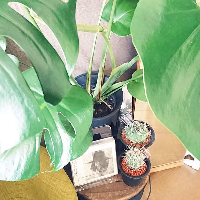 s.p.sunaoさんの実例写真