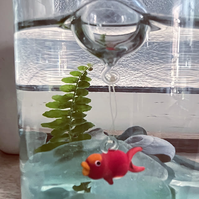 okkunさんの部屋
