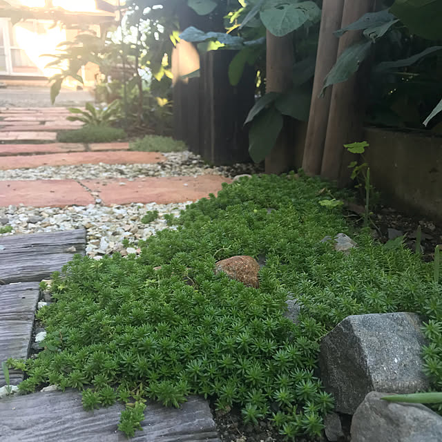 ringo_chiさんの実例写真