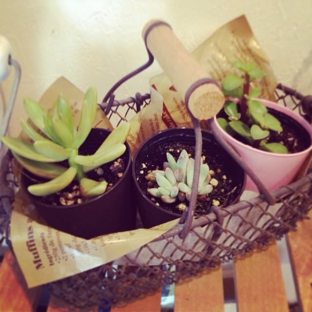 Akikoさんの実例写真