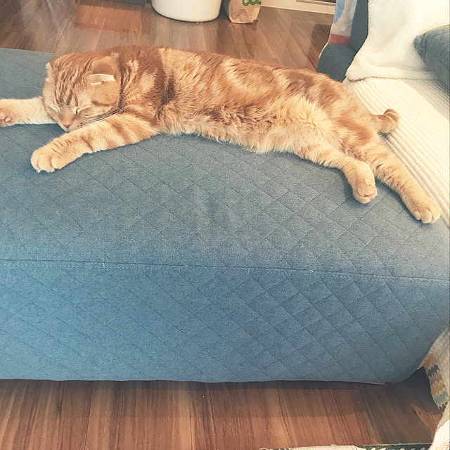 randebuさんの実例写真