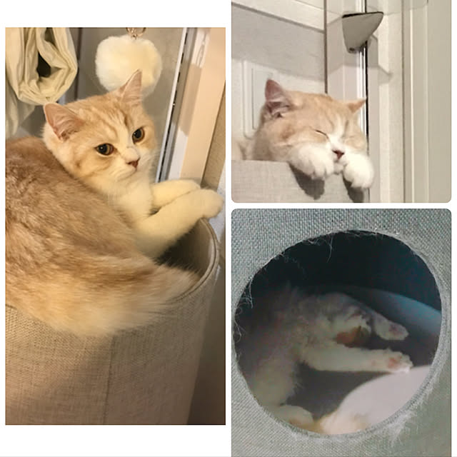 H.Tさんの実例写真