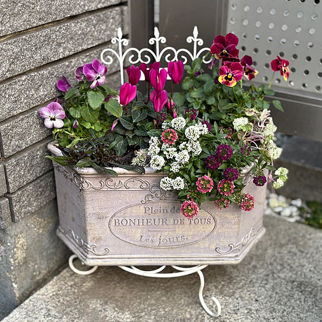 maayaさんの部屋