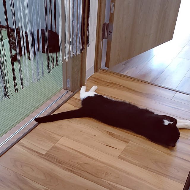hihaさんの実例写真