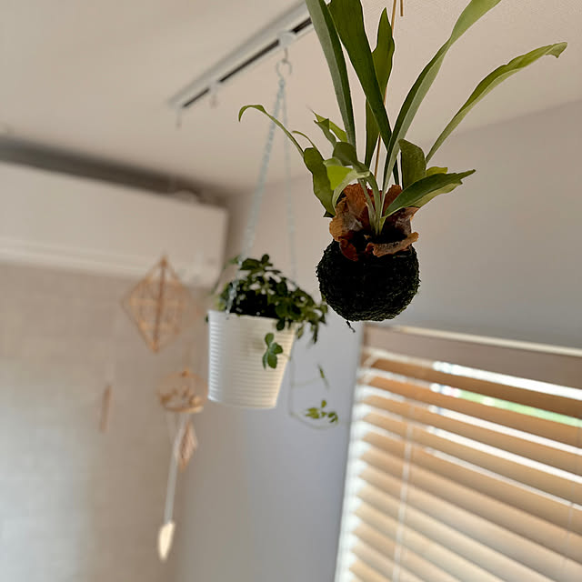 macaさんの部屋