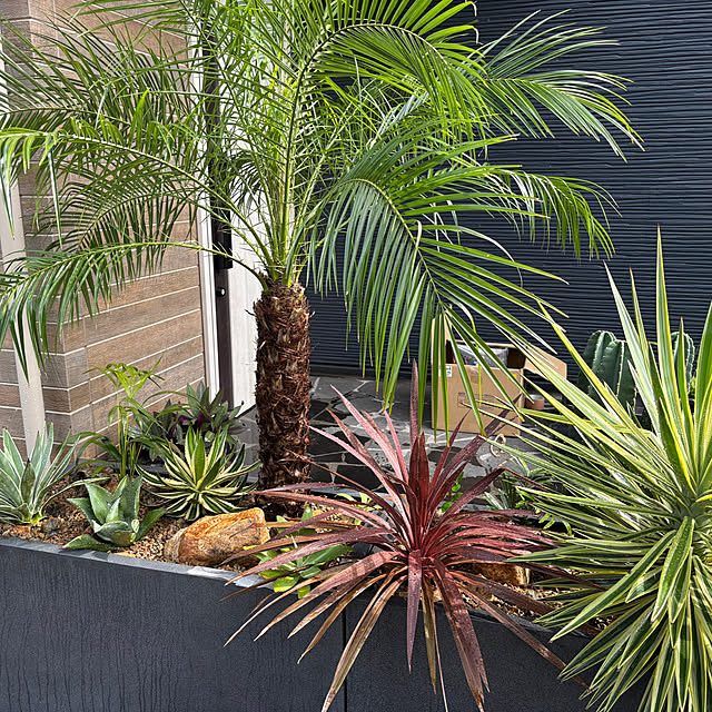 bonjiri0824さんの実例写真