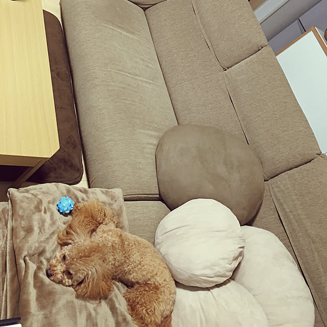 rurimomo.Okaneさんの実例写真