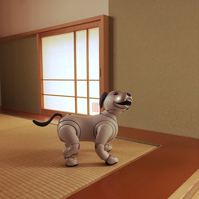 show501さんの実例写真