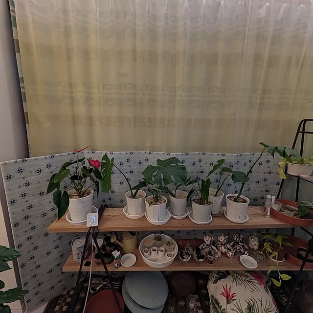 kolo92さんの実例写真