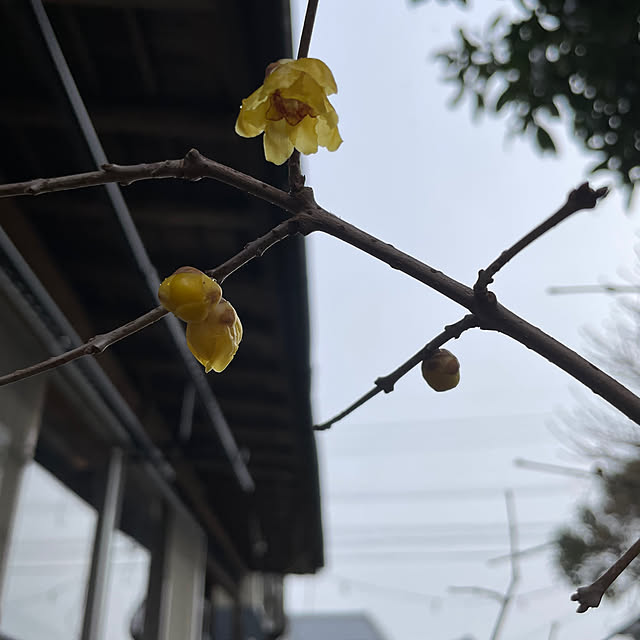 shin0719さんの部屋