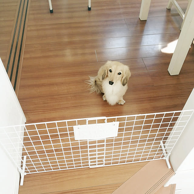 chocolateさんの実例写真