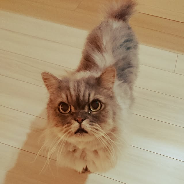 leonさんの実例写真