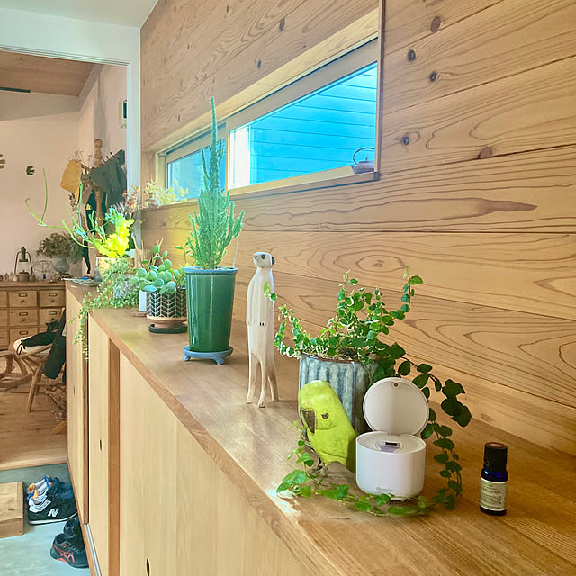 green.green.greenさんの実例写真