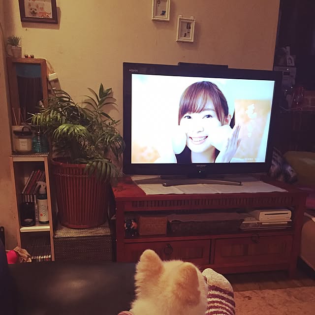 sacchiさんの実例写真