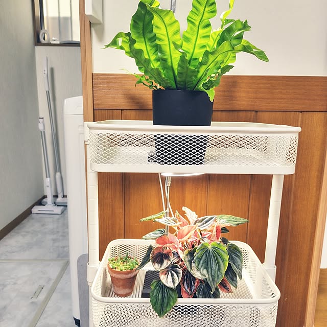 nachiさんの部屋