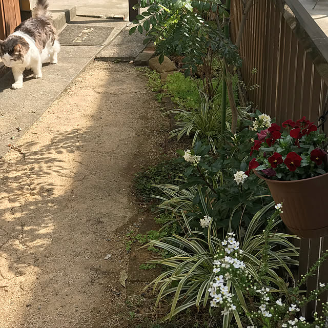 masakoさんの実例写真