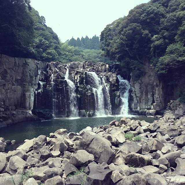 MMさんの実例写真