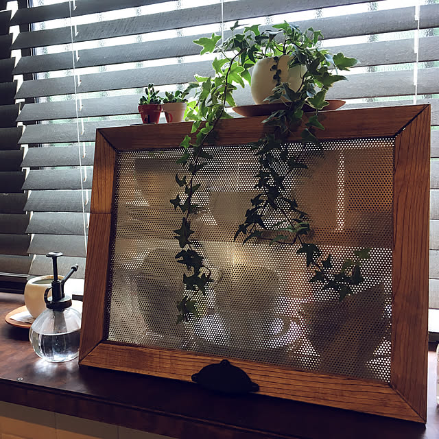キッチン/DIY/観葉植物のインテリア実例 - 2017-08-22 11:30:34