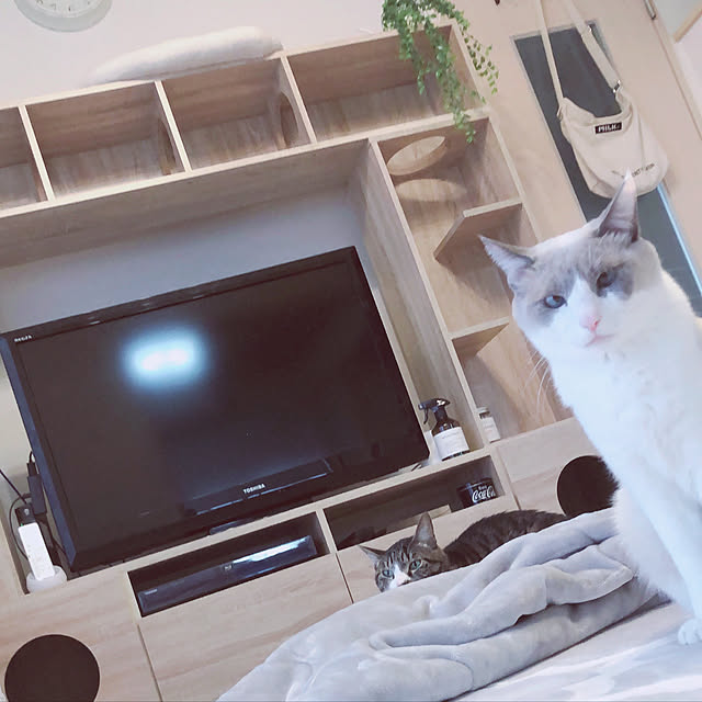 milkcocoaさんの実例写真
