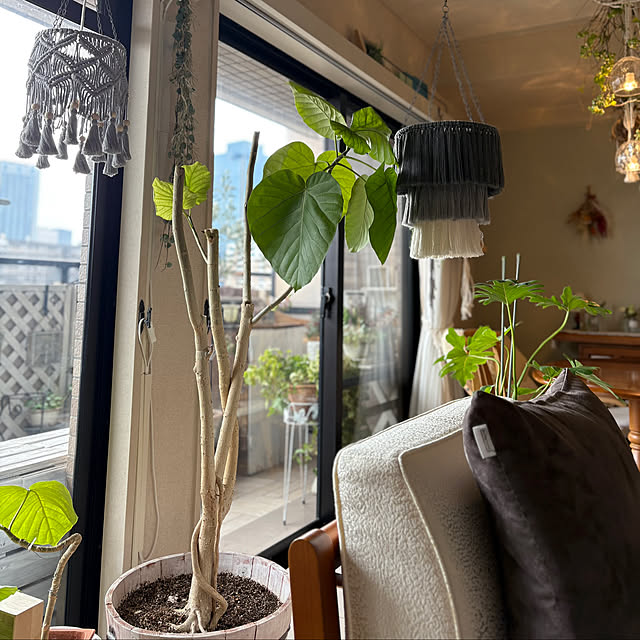 momo_sanさんの実例写真