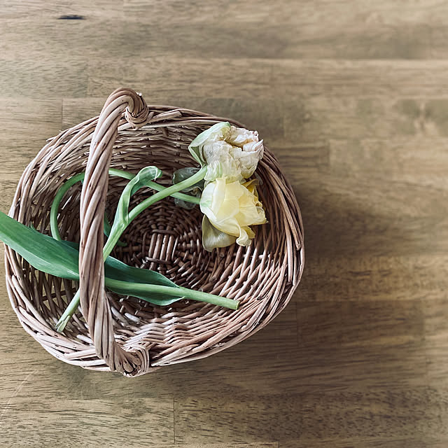 北欧雑貨/カゴのある暮らし/花のある暮らし/カゴ/チューリップ...などのインテリア実例 - 2020-05-13 11:15:14