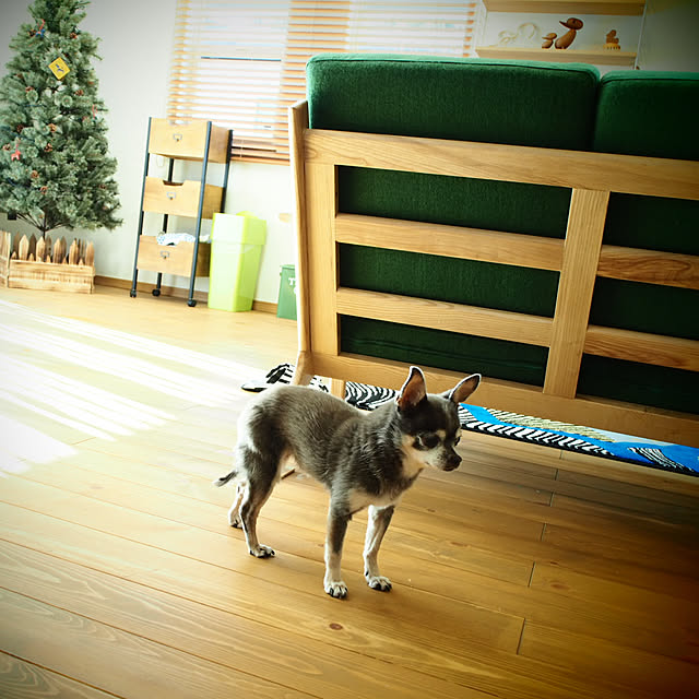 maric323さんの実例写真