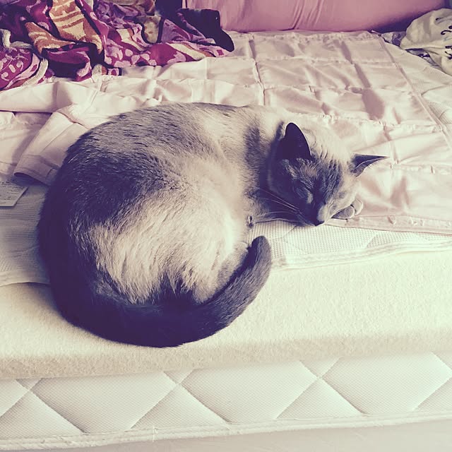 makikoさんの実例写真