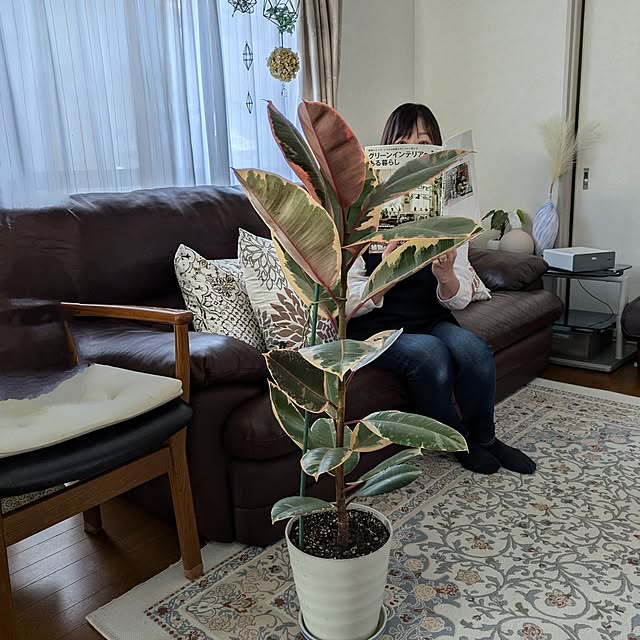 Renさんの実例写真