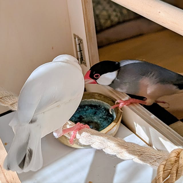 escargotさんの部屋