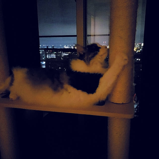mofさんの実例写真