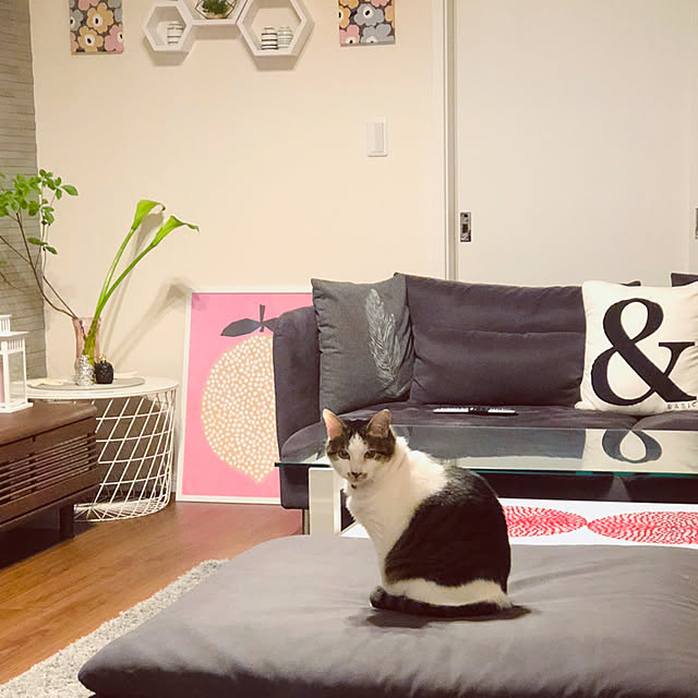 HomeSweetHomeさんの実例写真