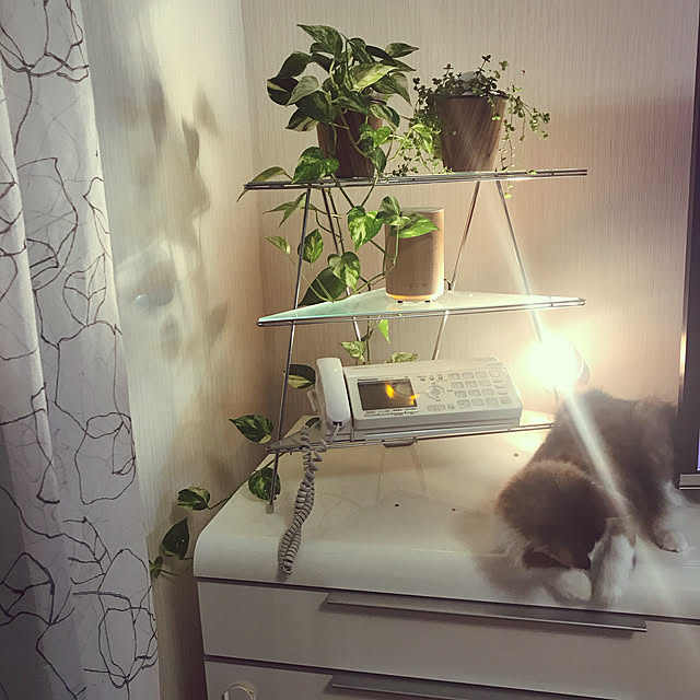a-m-aさんの実例写真