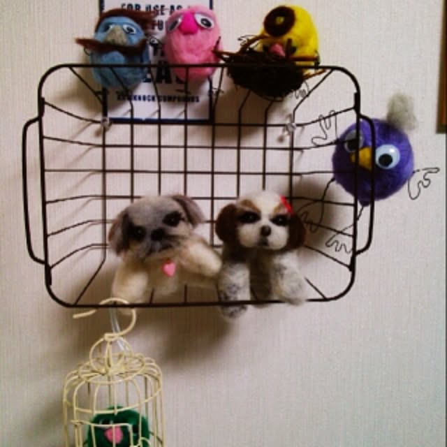 kotaさんの実例写真