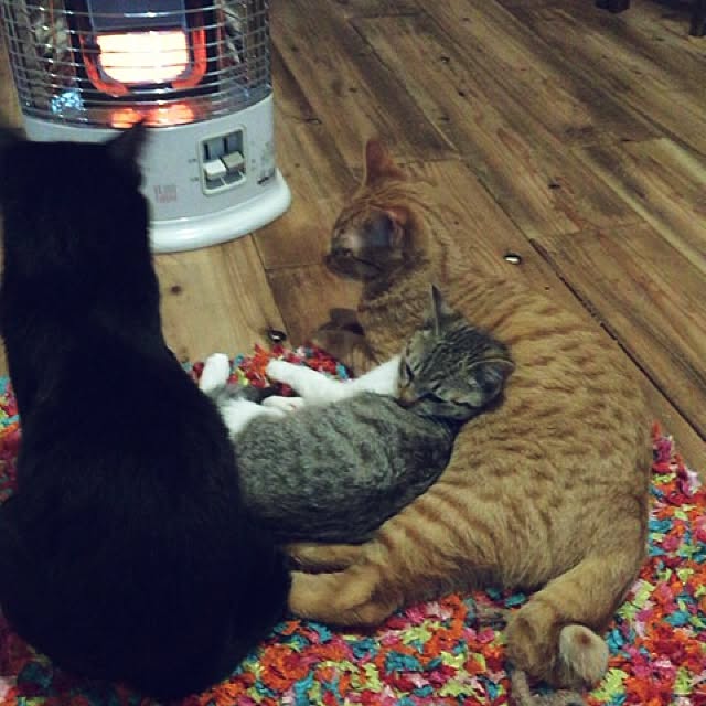 sumisumiさんの実例写真