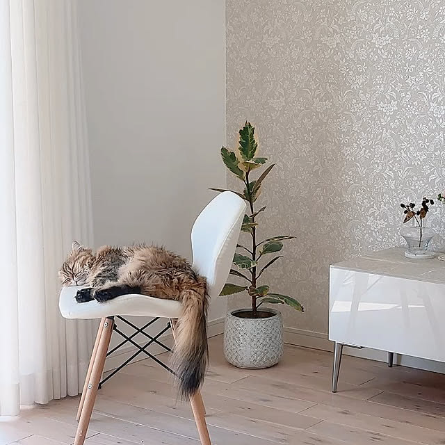 miyu39さんの部屋